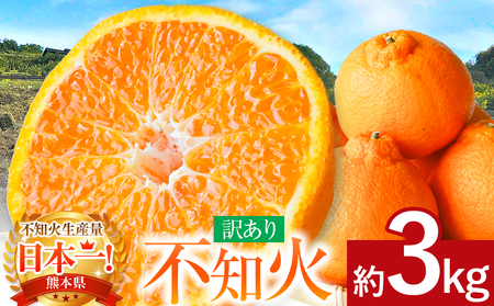 ≪ご家庭用≫ 不知火 約3kg | 果物 くだもの みかん フルーツ 柑橘類 柑橘 デコポン 熊本県 玉名市