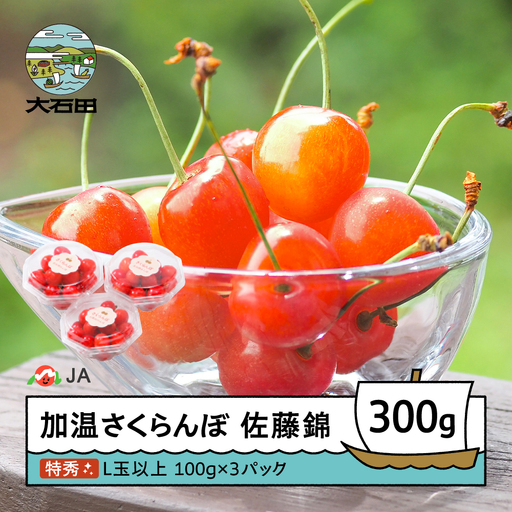 [先行予約] 加温 さくらんぼ 佐藤錦 特秀 L玉 ダイヤパック 100g×3パック 令和9年産