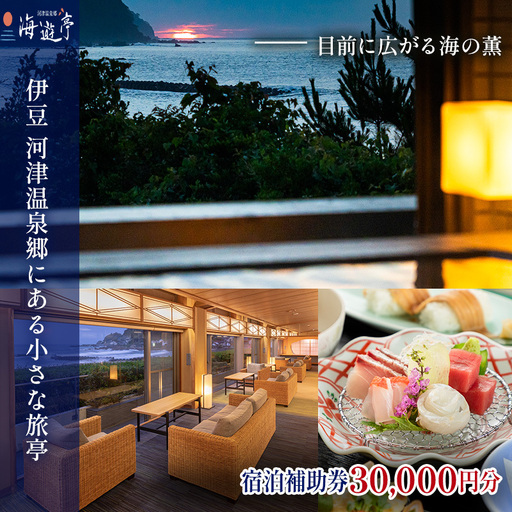 旅行 静岡県 宿泊補助券 海遊亭 30000円分 伊豆 温泉 河津温泉 オーシャンビュー 宿泊 旅館 ホテル 宿 観光 国内旅行 家族 ファミリー カップル 一人旅 記念日 チケット 宿泊券 旅行券 券 ギフト券 施設利用 バナナワニ園 バガテル公園 静岡 河津 河津町