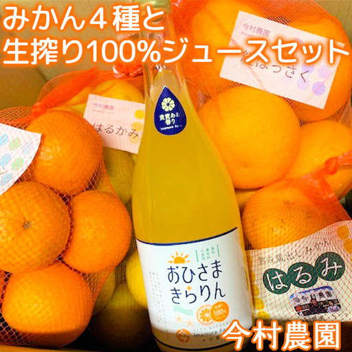 みかん4種 (計約8kg) と おひさまきらりん 生搾り100%ジュース セット【今村農園】 果物 期間限定 数量限定 九州 ＜107-041＞