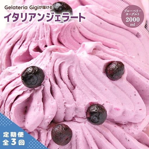 【定期便：全3回】ジェラテリアGigiのイタリアンジェラート『ブルーベリーヨーグルト』2000ml【43005803】