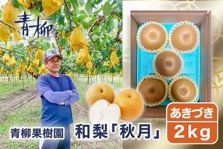 [2026年先行予約]青柳果樹園の和梨 秋月 2kg(3〜5玉)[9月中旬〜順次出荷] 果物 あきづき 加茂市 青柳果樹園