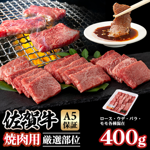 佐賀牛 焼肉 400g  焼肉 牛肉 厳選部位 B120-031