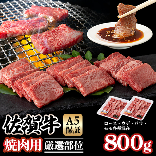 佐賀牛 焼肉  800g  焼肉 牛肉 厳選部位 C210-008