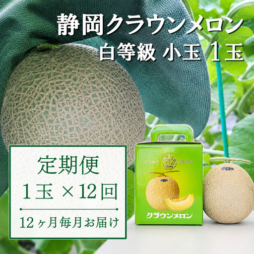 メロン 12か月 定期便 クラウン 並 小玉 1玉 メロン