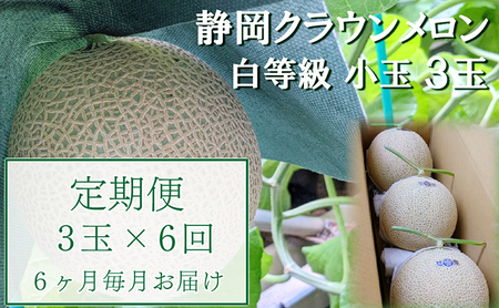 クラウンメロン 並(白等級) 小玉 静岡県産 クラウンメロン【1.1kg前後 3玉】【6か月定期便】
