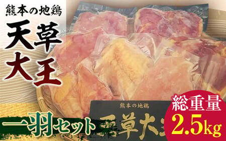 FKK19-201_天草大王 一羽セット(総重量2.5キロ) 熊本県 嘉島町