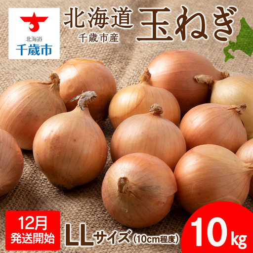 [先行予約]玉ねぎ 10kg LLサイズ 北海道 千歳市産 [假屋フードブリッジ]
