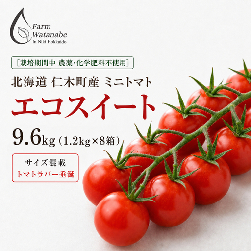 北海道仁木町産 ミニトマト エコスイート 1.2kg×8箱