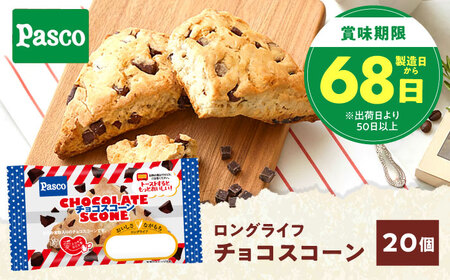 パン スコーン チョコスコーン 20個 パン
