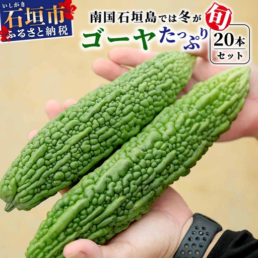 朝採れ「ゴーヤ」たっぷり20本セット！