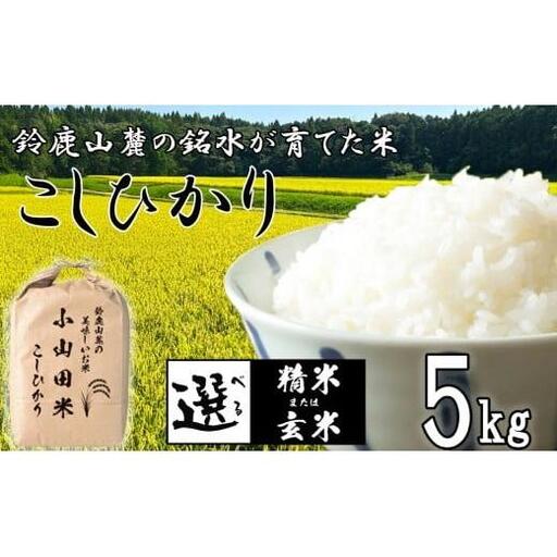 こしひかり 5kg 鈴鹿山麓の銘水が育てた米、米どころ三重県産小山田地区「こしひかり（精米）」5kg 小山田米