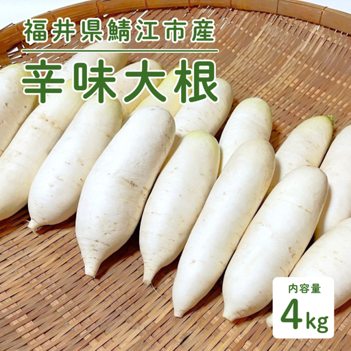 おろしそばに最適! 福井県産 辛味大根 4kg