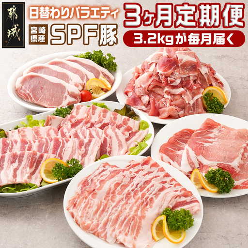 ≪3回連続お届け≫「宮崎SPF豚」日替わりバラエティセット定期便〔T48-3-K901〕_(都城市) 宮崎県産豚 小間切れ ロース 肩ローススライス バラ ステーキ 焼肉 しゃぶしゃぶ 真空