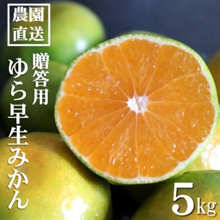 [先行受付]和歌山産 ゆら早生みかん 贈答用 秀品 約5kg箱入り 2S〜2Lサイズ
