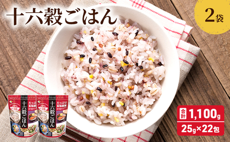 雑穀 十六穀ごはん 食物繊維 雑穀【1,100g(25g×22包×2袋)】