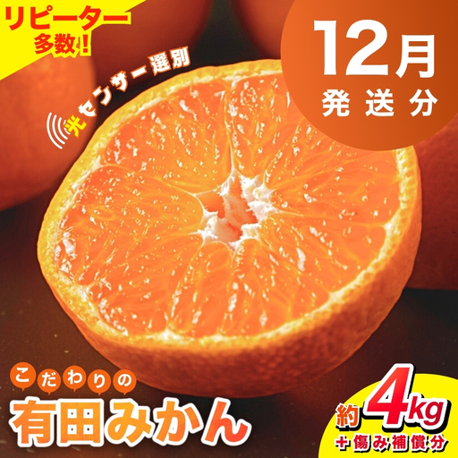 みかん 【2026年12月発送予約分】こだわりの有田みかん 約4kg＋250g(傷み補償分)【nuk148-12B】