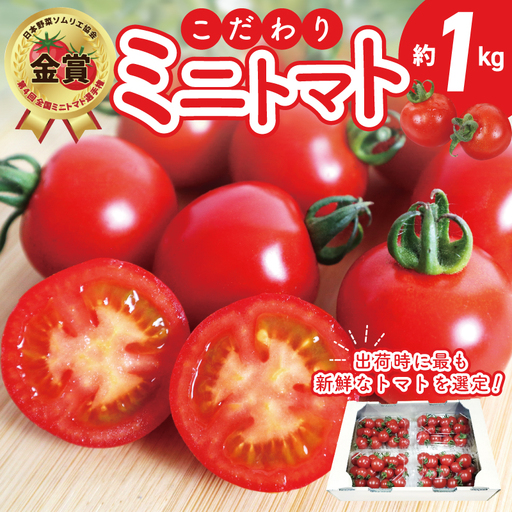 【先行予約】こだわり ミニトマト 4パック 合計 約1kg