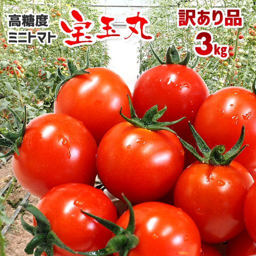 【訳あり】高糖度ミニトマト「宝玉丸」3kg【期間・数量限定】