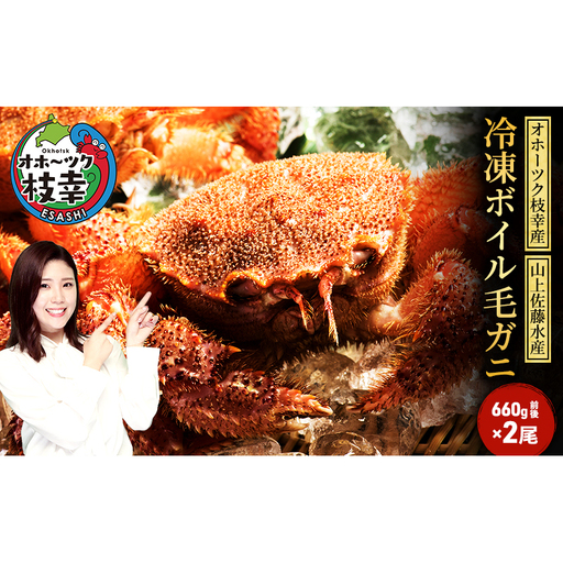 オホーツク枝幸 冷凍ボイル毛ガニ 660g前後×2尾［山上佐藤水産］【 カニ かに 毛ガニ 海鮮 毛ガニ 蟹 北海道 オホーツク 枝幸 】
