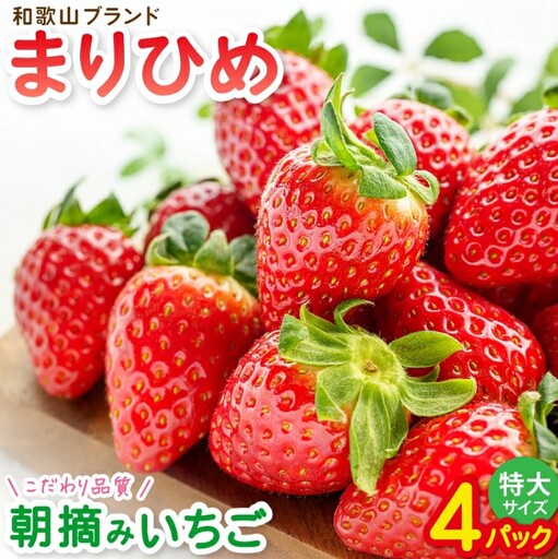 特大まりひめイチゴ 朝摘 6個～11個入×4パック【2027年1月中旬頃より発送】【先行予約】【KT4】【BH004-kiy004】