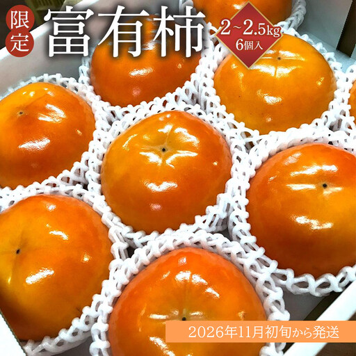 ［限定］ 富有柿 2kg～2.5kg 6個入 至高の逸品 約1000個に１個！［先行予約］［2026年11月初旬頃から発送］［KG5］