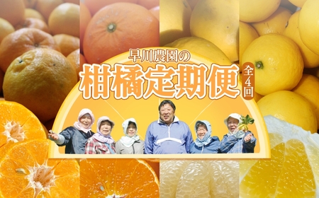 【令和８年発送】先行予約　柑橘フルーツ４回定期便（ぽんかん３kg・麗紅３kg・文旦５kg・小夏３kg）【J00018】