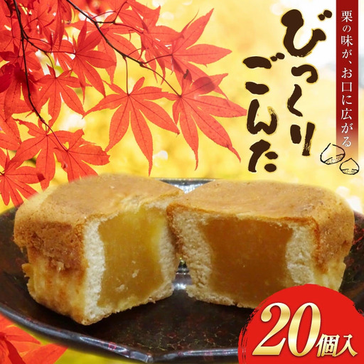 お菓子 びっくりごんた 20個入