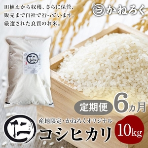 コシヒカリ 定期便 米 10ヶ月 厳選 5kg 令和7年 コシヒカリ