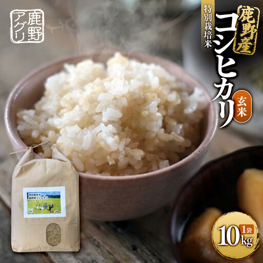 特別栽培米鹿野産コシヒカリ玄米10kg（10kgx1袋)＊北海道・沖縄・離島への配送不可＊