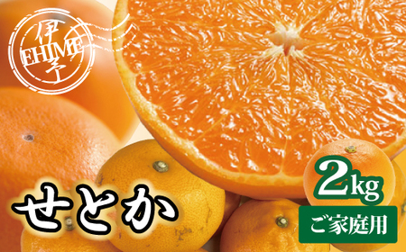 【2027年先行予約】訳あり せとか 2kg ご家庭用 【2027年2月末日以降発送予定】 みかん 愛媛 人気 サイズミックス 柑橘 伊予市｜B235
