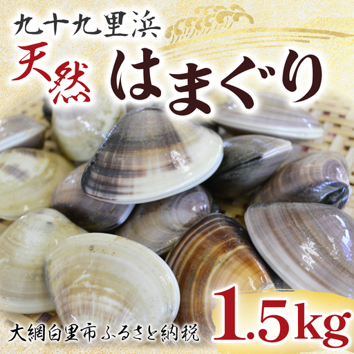 はまぐり 九十九里浜　天然はまぐり　1.5kg【厳選】  P007