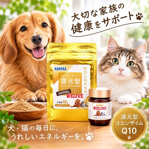 還元型コエンザイムQ10 わたしのチカラ  ANIMAL WELIVE （アニマルウィリブ） 10g×2袋【サプリメント 健康食品 ストレス緩和 兵庫県 高砂市】