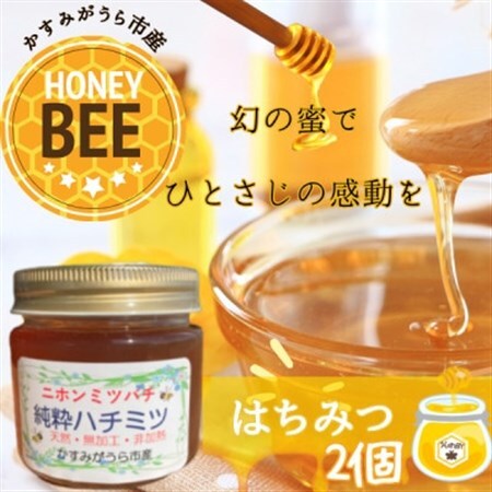 かすみがうら市産『日本みつばち』の純粋はちみつ 150g×2個_調味料 はちみつ  ハチミツ 蜂蜜_【1481289】