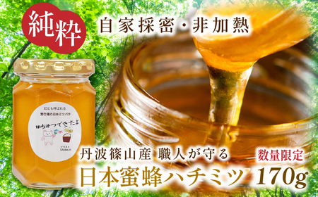 [限定数量]日本蜜蜂ハチミツ 170g はちみつ