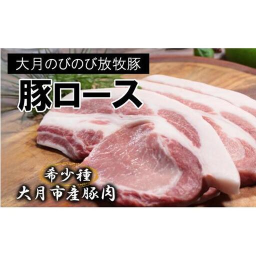 【希少豚】大月のびのび放牧豚【カツ・ステーキ用ロース】750g 以上(約150g×5)【1087-009】