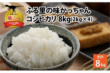令和6年産 コシヒカリ8kg(2kg×4) [B-020005]