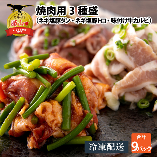 焼肉 3種盛セット ネギ塩豚トロ・豚タン・牛カルビ 3セット [B-037002]