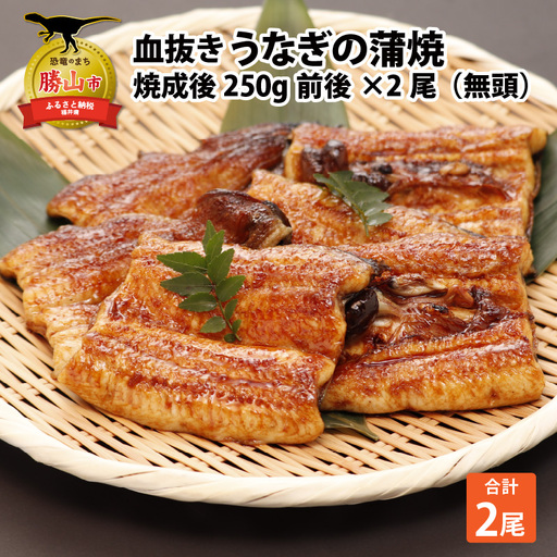 うなぎ蒲焼 国産 450g うなぎ