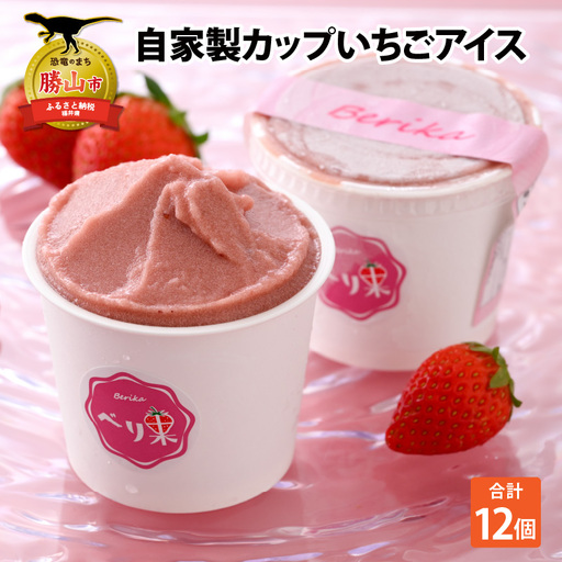 いちごアイス 12個セット [A-045001]
