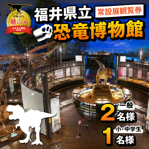 恐竜博物館 観覧券 常設展 一般2名＋小中学生1名 [A-048008]