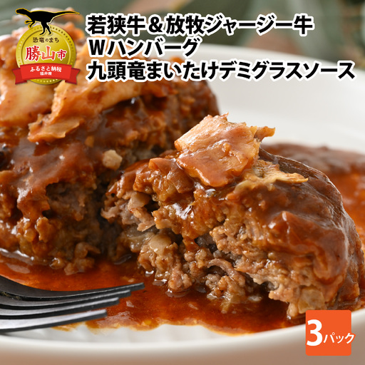 ハンバーグ 若狭牛&ジャージー牛 225g×3パック [A-054005]