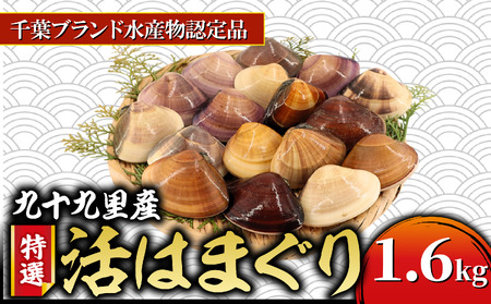 ≪千葉ブランド水産物認定品≫ 活け はまぐり 約1.6kg [ はまぐり ]
