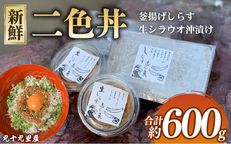 二色丼 生シラウオ沖漬け 釜揚げしらす セット 合計600g [ シラウオ シラス ]