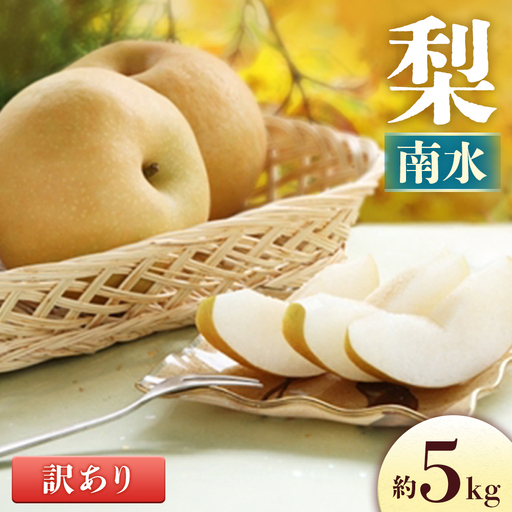 梨 南水 約5㎏ 梨 訳あり