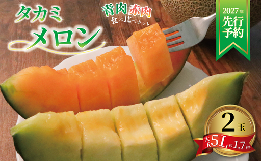 ＜2027年先行受付＞ 飯岡メロン 約3.4kg (約 1.7kg × 2玉) 青肉 赤肉 【 メロン 】