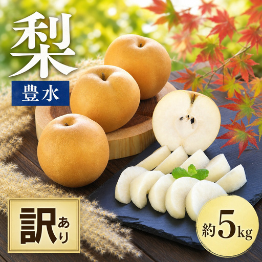 梨 豊水 約5㎏ 訳あり 梨