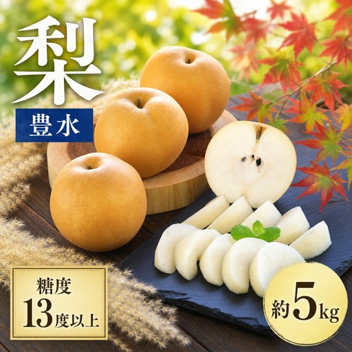 梨 豊水 約5㎏ 梨