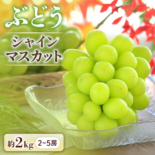 ぶどう シャインマスカット 約2㎏ ぶどう
