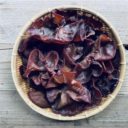 吉賀町かわの農園の新鮮生きくらげ500g【配送不可地域：離島】【1422506】